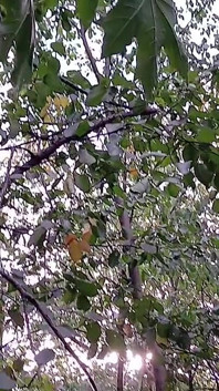 Masturbation féminine risquée en POV dans un plasage public