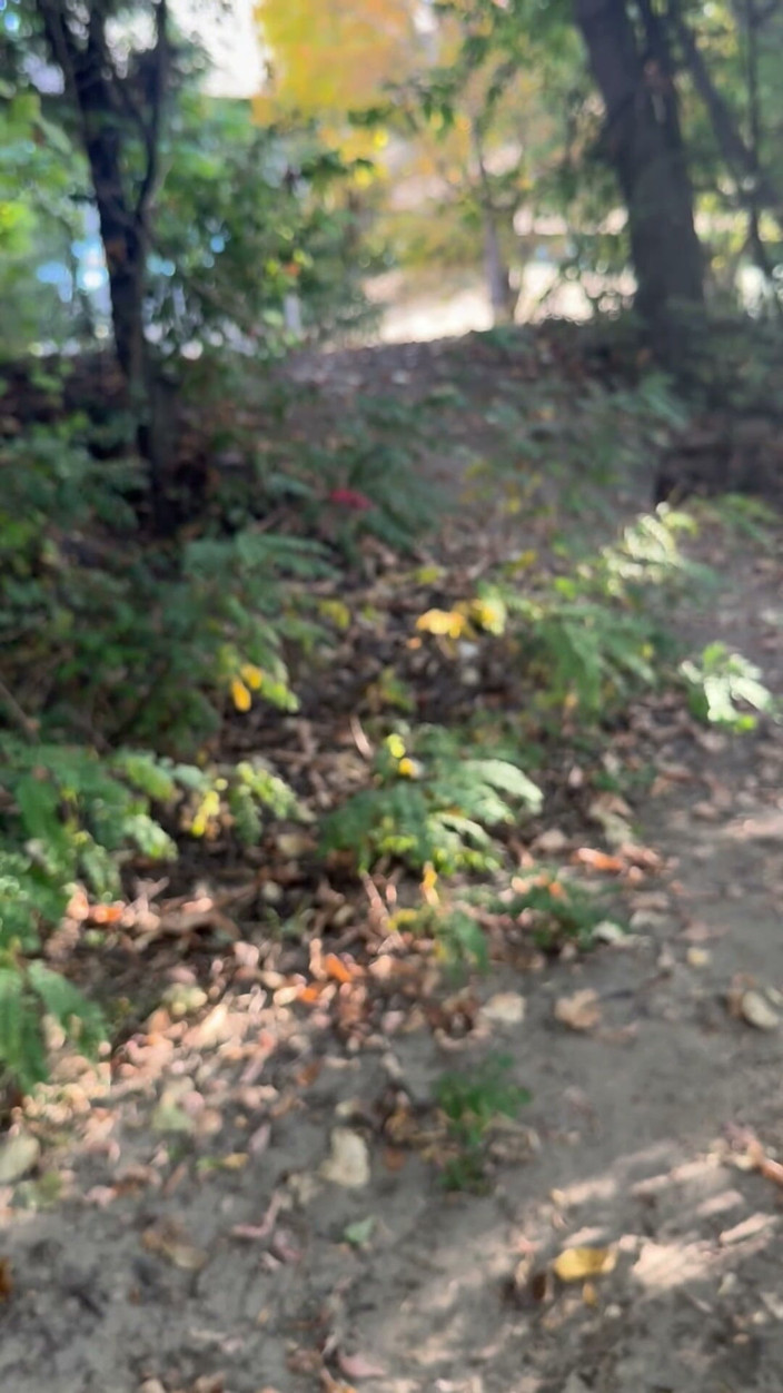unemployedrobot: Openbare masturbatie Hemde Idaho Greenbelt Fietswandelpad