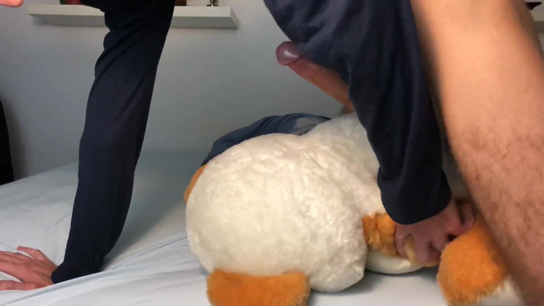 Heat boy: Teddy Orgasm Morning Dirty Talks Solo Cum