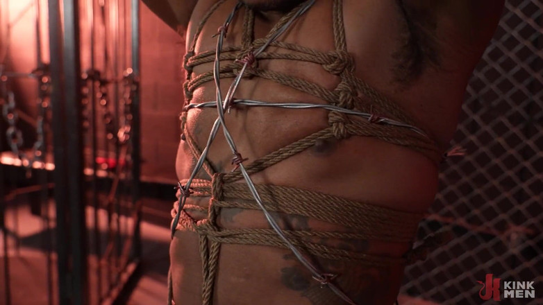 Taken rough: Șoricel mic și bun: Davin Strong și Jake Waters