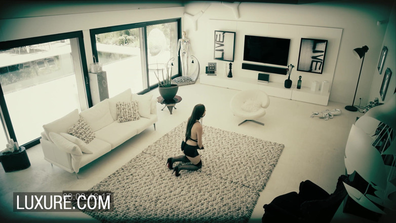 Luxure: Alexandra Stein watched on cc camera while fucked by stranger