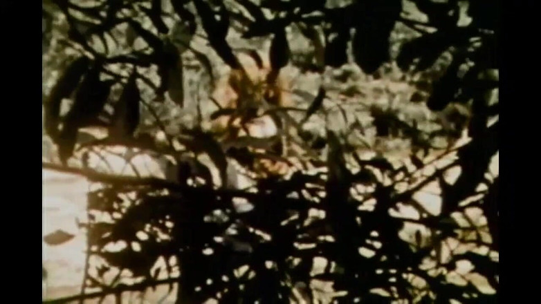 Vintage megastore: Для настоящих любителей винтажных рыжих с веснушками (фильм целиком)