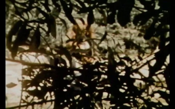 Vintage megastore: Pentru adevărații iubitori de roșcate retro cu pistrui (film complet)