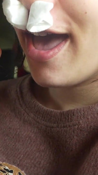 Sneezing Fit in the Car My Plastic Flower Allergy Reaction