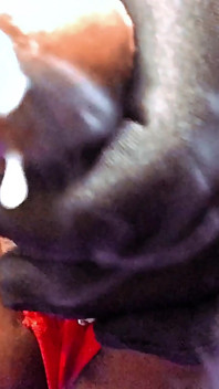 Ms300 Sarazia Exótica - Fumando Caliente