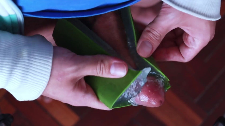 MGEc21: Usando Aloe Vera como fleshlight