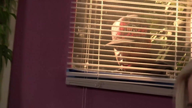 MMV BEST MOVIES AND CLIPS: Cewek-cewek hot dientot habis-habisan sama raksasa pria kulit hitam