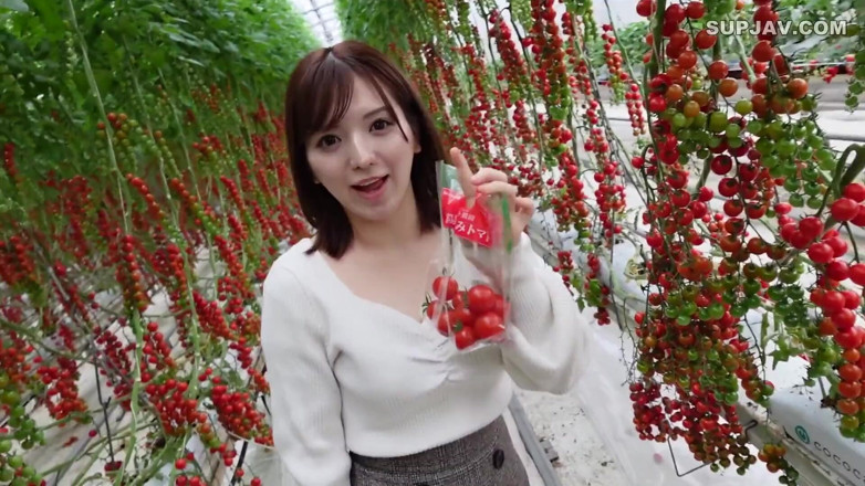 Studio Modern Shunga - JAV: นางฟ้าเอเชีย 7402
