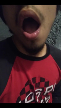 Mouth Gestures