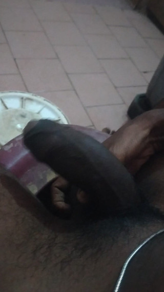 Tamil 10 inches BBC: Nedělní překvapení pro fanoušky!