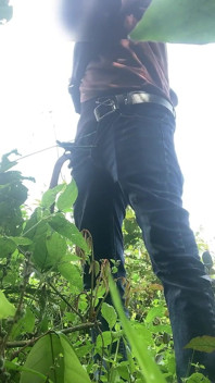 Pancutan cepat selepas berjalan-jalan panjang di dalam hutan