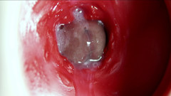 SEXY_GUYBEST: Grande orgasmo dentro do ânus! Fantástico orgasmo gemendo e muito esperma!