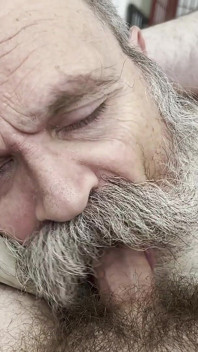 Baba Ayı Hemşirelerin Yarağı, Dölleme Ödülü Alıyor