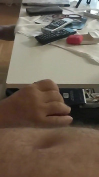 Zwei Bären in der Wohnung am Meer haben spaß - teil 2-3