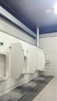 Anal Fuck with Dildo in Public Toilet Handsfree Cum