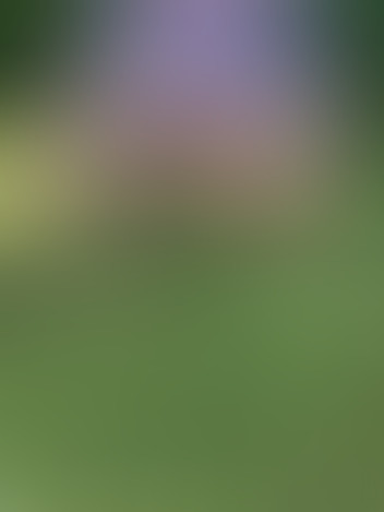 Locked due to age restriction