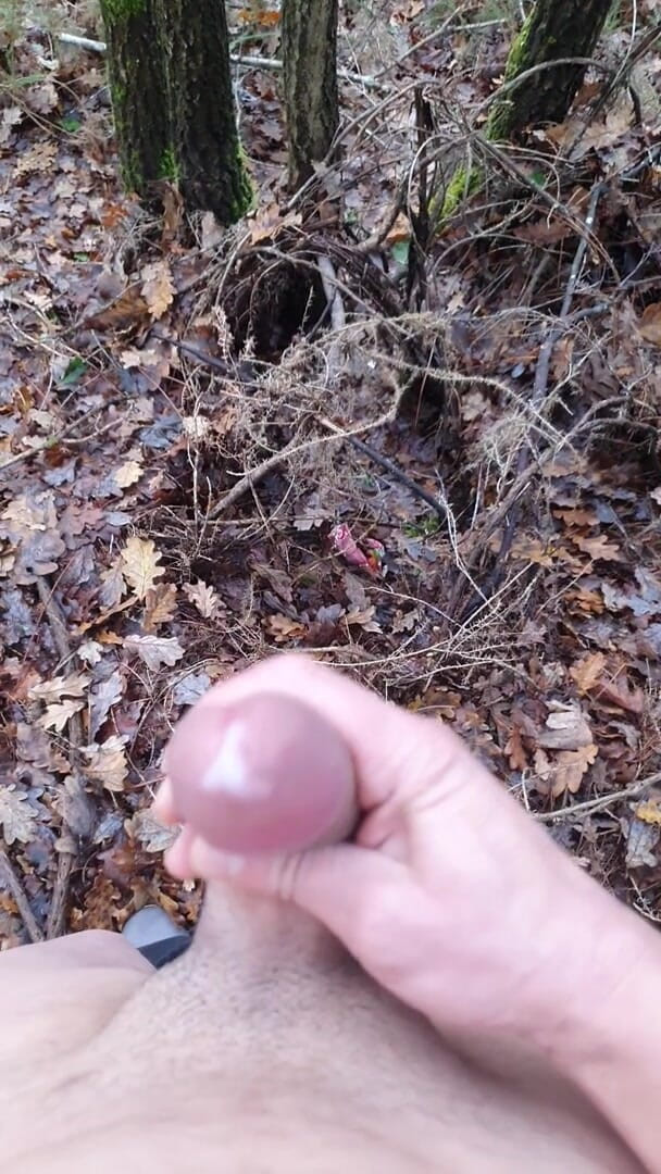 Timmyboy: Timmyboy aku pergi untuk lari di hutan dan aku jadi...