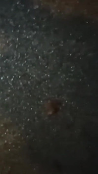Muslimská vdaná děvka kouřila svému milenci penis na parkovišti a spolkla jeho sperma.
