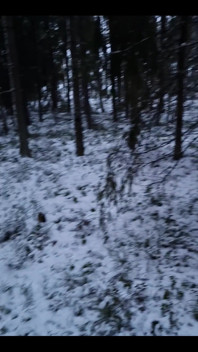 Baby It's Cold Outside