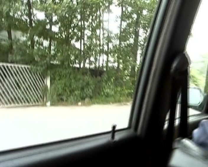 Deutscher hardcore: Симпатичную немецкую блондинку двойным проникновением на улице