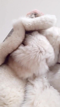 Transfurlady juega con su polla Futa de 10 pulgadas en impresionantes furcoats