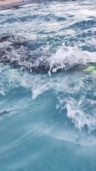 Schwimmen und halten meinen atem in sehr kaltem wasser