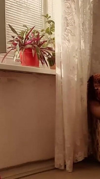 Gara-gara lagi bosen sendirian, ada vibratornya di sini!