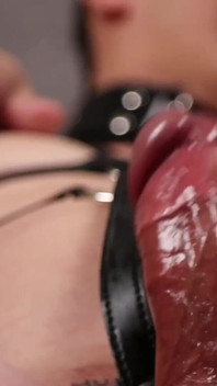 No.ksgh03 Climax Labs Ep.44
