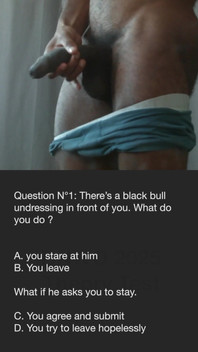 Bnwo Theory Test