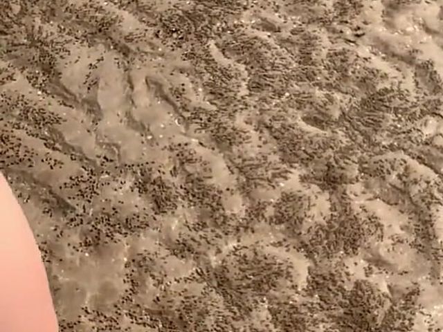Wifey Walks Around Beach Fully Nude (Wifey Does)