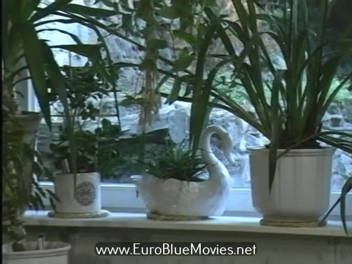 Euro Blue Movies: Teens Extreme 149 - Young Women Extreme 86 1996