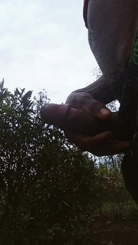 Solo Outside