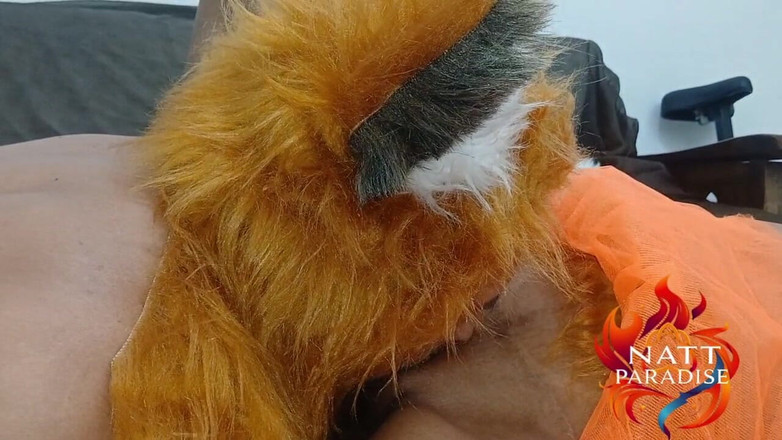 NattParadise: Скелелазіння на лисиці