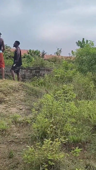 Ebony Krémová Bussy se rozhodne btm pro obrovský péro po dlouhé době v opuštěném vládním webu