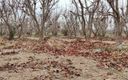 HornyMaria: Kompilace venkovního čůrání