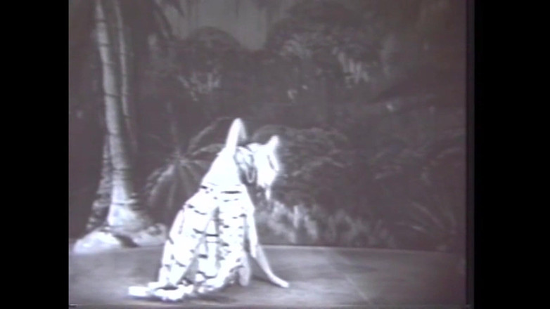 The Unforgettable: Dança de Teatro