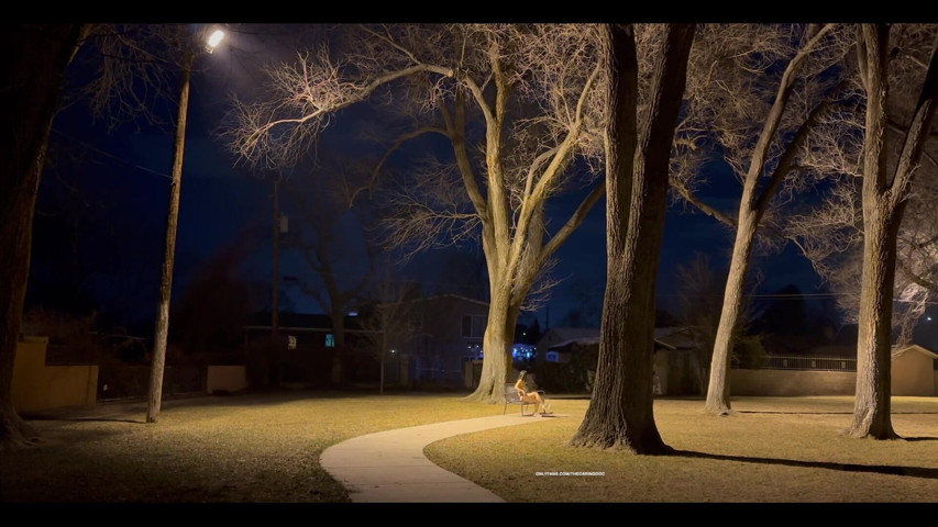 Nighttime Nude Stroll Through a Park. Do Cartwheels Naked! My Fingers Were so Cold (The Caring Doc)