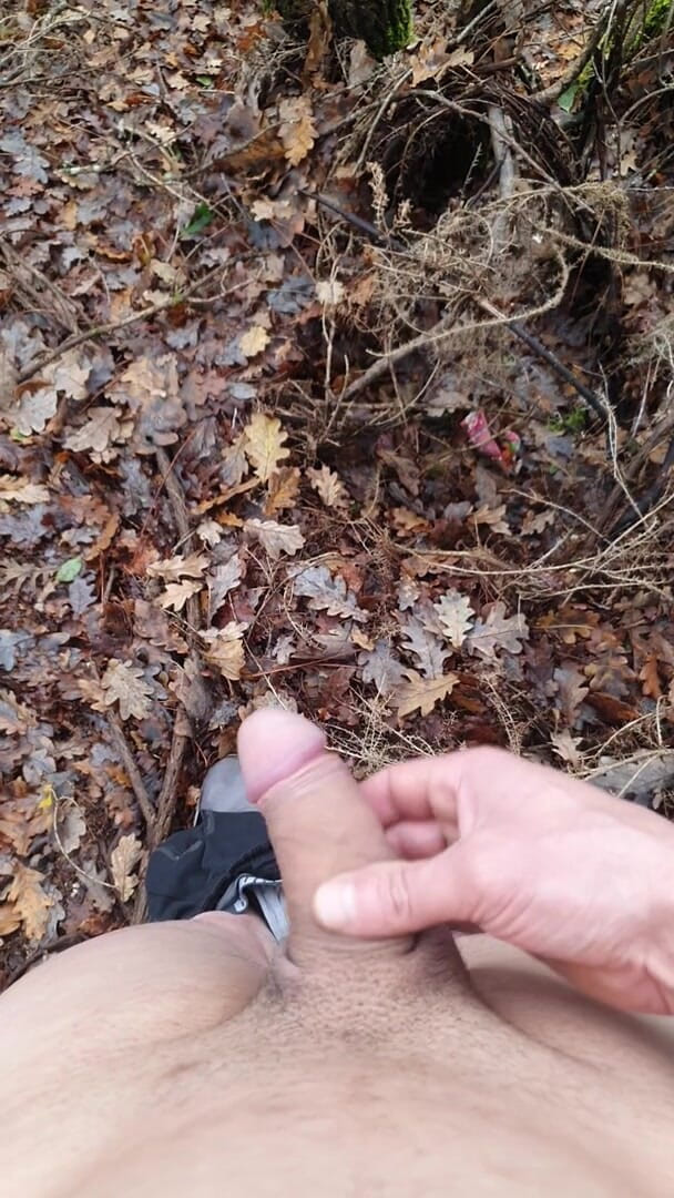 Timmyboy: Timmyboy, šla jsem si zaběhat do lesa a jsem nadržená