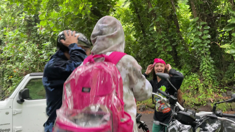 Dante Colle: Sání ptáka v deštném pralese