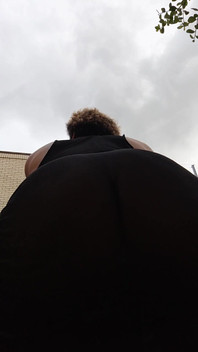 Bee's Anal Illumination