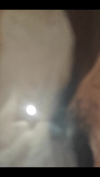749771317682647040.mp4
