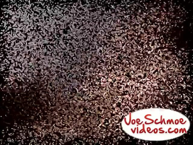 Joe Schmoe: セクシーなタズが2度目の射精を決める