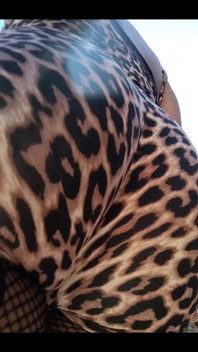 I Was a Cheetah Girl Today. I Had a Good Route in the Burbs and Was Cool with My Cheeta Print