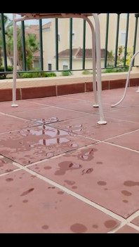 I’m Still in Shock That I Pulled off Such a Crazy Performance!