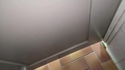 Monster_Meat_: In der öffentlichen toilette wichsen teil 2