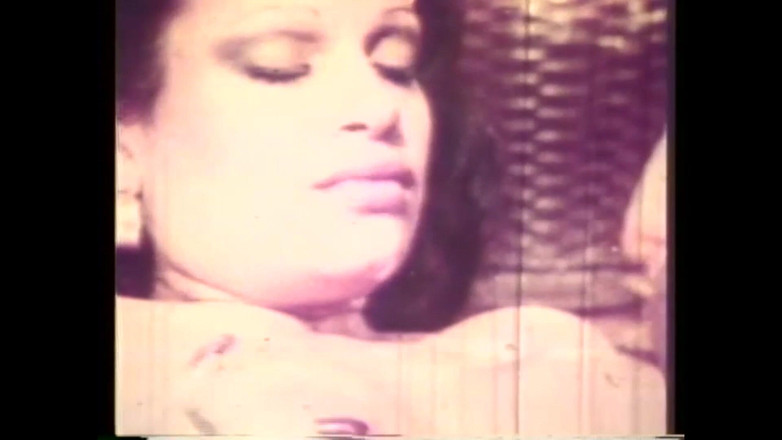 Vintage Usa: 따뜻한 밤