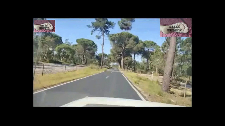 Casal Gresopio films: Massaggio femminile di Halloween