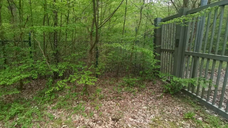 Bouncy Tits Action: Desnude y déjame castigar tus tetas