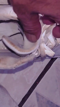 No Cum Foot Massage Farting