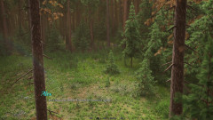 Wickedgammes studio: Pussyland (частина 8)